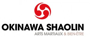 Club OKINAWA SHAOLIN - KUNG FU à Lyon