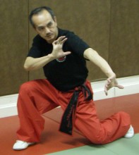 club de KUNG FU à Lyon