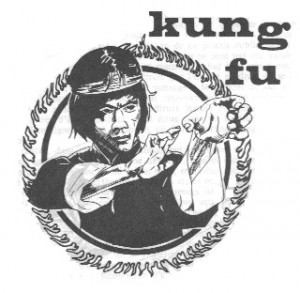 Club ASSOCIATION DEFENSE ARTS MARTIAUX SECTION KUNG-FU - KUNG FU à Dieppe