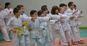 CLUB DE JU-JUTSU PENCHARDAIS 77124 PENCHARD : club de JUJITSU
