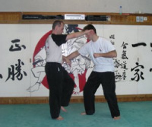 Fabrice Hohn 44330 Nantes : club de TAI CHI CHUAN