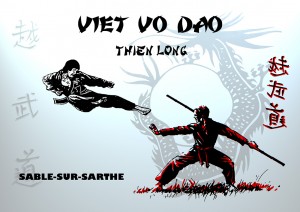 Club VIET VO DAO SABLE - VIET VO DAO à Sablé sur Sarthe