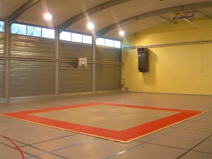 Toulouse Judo, Saint-Martin du Touch 31300 Toulouse : club de JUDO