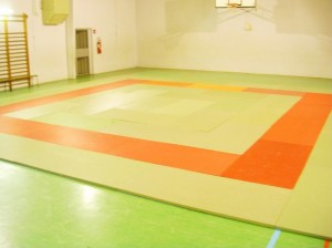 Toulouse Judo, Lardenne 31100 Toulouse : club de JUDO
