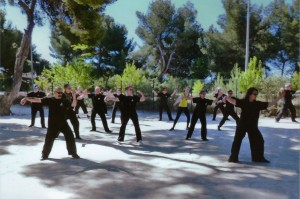 club de TAI CHI CHUAN à Sausset les Pins