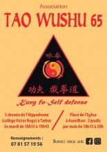 Club Tao wushu 65 - KUNG FU à aureilhan