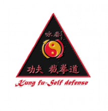 club de KUNG FU à aureilhan