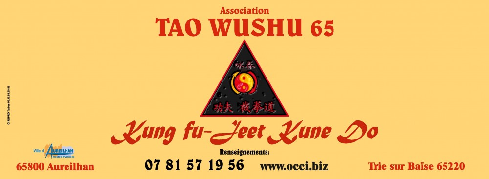 Club Taowushu65  - JEET KUNE DO à Aureilhan