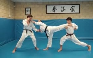 URRUGNE KENPO KAI 64545 Urrugne : club de KEMPO