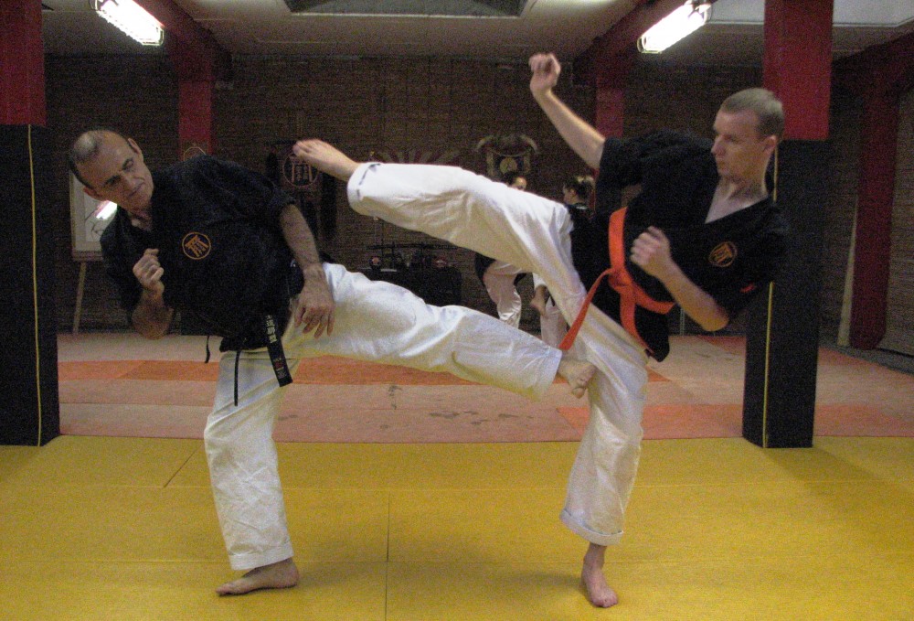 LES ECOLES BUSHIDO 33300 Bordeaux : club de KARATE