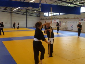 Club à VIERZON : CLUB D'ARTS MARTIAUX ASIATIQUES