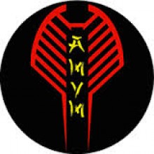 Club ECOLE DU COBRA THIEU LAM A M V M - ARTS MARTIAUX VIETNAMIENS TRADITIONNELS à Montaigut Sur Save