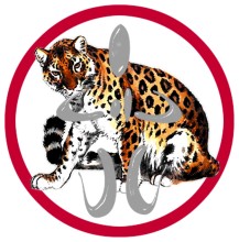 ACADEMIE GRENOBLOISE DE SAMBO DEFENSE PERSONNELLE 38000 Grenoble : club de SELF DEFENSE